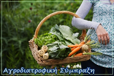 "&Alpha;&gamma;&rho;&omicron;&delta;&iota;&alpha;&tau;&rho;&omicron;&phi;&iota;&kappa;ή &Sigma;ύ&mu;&pi;&rho;&alpha;&xi;&eta; &Pi;&epsilon;&rho;&iota;&phi;έ&rho;&epsilon;&iota;&alpha;&sigmaf; &Delta;&upsilon;&tau;&iota;&kappa;ή&sigmaf; &Mu;&alpha;&kappa;&epsilon;&delta;&omicron;&nu;ί&alpha;&sigmaf;": &Eta; &sigma;ύ&nu;&theta;&epsilon;&sigma;&eta; &tau;&omicron;&upsilon; &Delta;&iota;&omicron;&iota;&kappa;&eta;&tau;&iota;&kappa;&omicron;ύ &Sigma;&upsilon;&mu;&beta;&omicron;&upsilon;&lambda;ί&omicron;&upsilon;