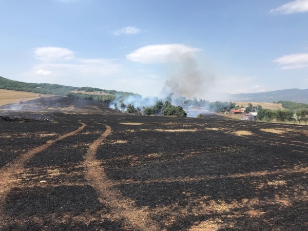 &Pi;&upsilon;&rho;&kappa;&alpha;&gamma;&iota;ά &sigma;&tau;&eta;&nu; &Kappa;&nu;ί&delta;&eta; &Gamma;&rho;&epsilon;&beta;&epsilon;&nu;ώ&nu;