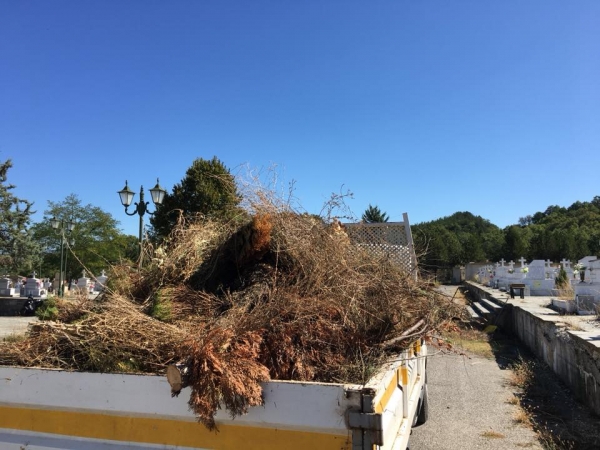 &Kappa;&alpha;&theta;&alpha;&rho;&iota;&sigma;&mu;ό&sigmaf; &tau;&omicron;&upsilon; &delta;&eta;&mu;&omicron;&tau;&iota;&kappa;&omicron;ύ &Kappa;&omicron;&iota;&mu;&eta;&tau;&eta;&rho;ί&omicron;&upsilon; &alpha;&pi;&omicron; &tau;&eta; &Lambda;έ&sigma;&chi;&eta; &Phi;ί&lambda;&omega;&nu; &Pi;&Alpha;&Omicron;&Kappa; &Gamma;&rho;&epsilon;&beta;&epsilon;&nu;ώ&nu; (video- &phi;&omega;&tau;&omicron;)