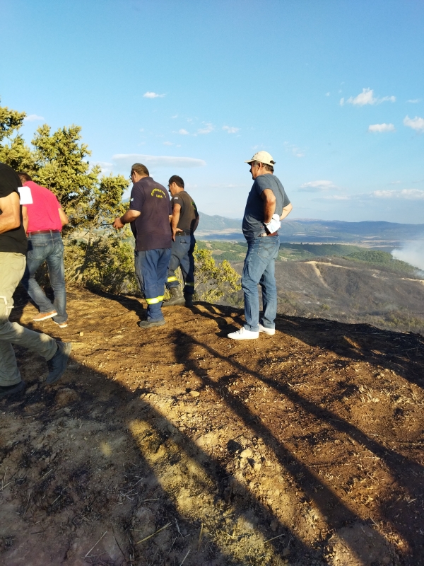 &Kappa;&lambda;&iota;&mu;ά&kappa;&iota;&omicron; &tau;&omicron;&upsilon; &Kappa;&Kappa;&Epsilon; &sigma;&tau;&alpha; &chi;&omega;&rho;&iota;ά &tau;&omega;&nu; &Beta;&epsilon;&nu;&tau;&zeta;ί&omega;&nu; &pi;&omicron;&upsilon; &epsilon;&kappa;&kappa;&epsilon;&nu;ώ&theta;&eta;&kappa;&alpha;&nu;.