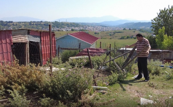 &Gamma;&Rho;&Epsilon;&Beta;&Epsilon;&Nu;&Alpha;: &Epsilon;&pi;&iota;&delta;&rho;&omicron;&mu;ή &alpha;&rho;&kappa;&omicron;ύ&delta;&alpha;&sigmaf; &kappa;&alpha;&iota; &alpha;&rho;&pi;&alpha;&gamma;ή &pi;&rho;&omicron;&beta;ά&tau;&omicron;&upsilon; &alpha;&pi;ό &tau;&eta;&nu; &alpha;&upsilon;&lambda;ή &mu;&omicron;&nu;&omicron;&kappa;&alpha;&tau;&omicron;&iota;&kappa;ί&alpha;&sigmaf; (VIDEO)