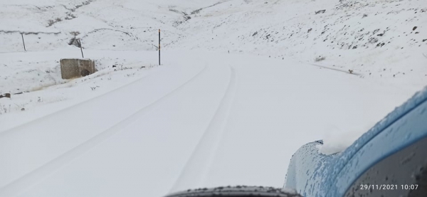 &Sigma;&tau;&alpha; &lambda;&epsilon;&upsilon;&kappa;ά &eta; &Beta;&alpha;&sigma;&iota;&lambda;ί&tau;&sigma;&alpha; (VIDEO)