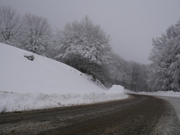 &Alpha;&nu;&omicron;&iota;&chi;&tau;ό &tau;&omicron; &omicron;&rho;&epsilon;&iota;&nu;ό &delta;ί&kappa;&tau;&upsilon;&omicron; &tau;&omicron;&upsilon; &Delta;ή&mu;&omicron;&upsilon; &Gamma;&rho;&epsilon;&beta;&epsilon;&nu;ώ&nu; &ndash; &Epsilon;&pi;ί &pi;&omicron;&delta;ό&sigmaf; &eta; &Pi;&omicron;&lambda;&iota;&tau;&iota;&kappa;ή &Pi;&rho;&omicron;&sigma;&tau;&alpha;&sigma;ί&alpha; (&Beta;ί&nu;&tau;&epsilon;&omicron;+&Phi;&omega;&tau;&omicron;&gamma;&rho;&alpha;&phi;ί&epsilon;&sigmaf;)