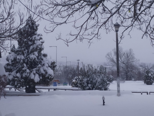 &laquo;&pi;&rho;&omega;&tau;&alpha;&theta;&lambda;ή&tau;&rho;&iota;&alpha;&raquo; &pi;ό&lambda;&eta; &sigma;&tau;&eta; &Delta;&upsilon;&tau;&iota;&kappa;ή &Mu;&alpha;&kappa;&epsilon;&delta;&omicron;&nu;ί&alpha; &alpha;&nu;&alpha;&delta;&epsilon;ί&chi;&theta;&eta;&kappa;&epsilon; &eta; &pi;ό&lambda;&eta; &tau;&omega;&nu; &Gamma;&rho;&epsilon;&beta;&epsilon;&nu;ώ&nu; &mu;&epsilon; 40 &epsilon;&kappa;&alpha;&tau;&omicron;&sigma;&tau;ά &chi;&iota;&omicron;&nu;&iota;&omicron;ύ