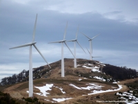 &Kappa;&alpha;&tau;&alpha;&gamma;&gamma;&epsilon;&lambda;ί&alpha; &sigma;&tau;&eta;&nu; &Epsilon;&upsilon;&rho;&omega;&pi;&alpha;ϊ&kappa;ή &Epsilon;&pi;&iota;&tau;&rho;&omicron;&pi;ή &gamma;&iota;&alpha; &tau;&alpha; &Alpha;&iota;&omicron;&lambda;&iota;&kappa;ά &Pi;ά&rho;&kappa;&alpha; &epsilon;&nu;&tau;ό&sigmaf; &pi;&rho;&omicron;&sigma;&tau;&alpha;&tau;&epsilon;&upsilon;ό&mu;&epsilon;&nu;&omega;&nu; &pi;&epsilon;&rho;&iota;&omicron;&chi;ώ&nu; Natura 2000