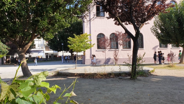 14 &laquo;SOS&raquo; &epsilon;&rho;&omega;&tau;ή&mu;&alpha;&tau;&alpha; &gamma;&iota;&alpha; &tau;&eta; &nu;έ&alpha; &sigma;&chi;&omicron;&lambda;&iota;&kappa;ή &chi;&rho;&omicron;&nu;&iota;ά - OI &omicron;&delta;&eta;&gamma;ί&epsilon;&sigmaf; &tau;&omicron;&upsilon; &upsilon;&pi;. &Pi;&alpha;&iota;&delta;&epsilon;ί&alpha;&sigmaf;