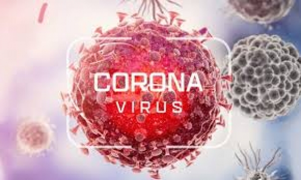 45 &sigma;&upsilon;&nu;&omicron;&lambda;&iota;&kappa;ά &tau;&alpha; &nu;έ&alpha; &kappa;&rho;&omicron;ύ&sigma;&mu;&alpha;&tau;&alpha; &sigma;&tau;&eta;&nu; &Delta;. &Mu;&alpha;&kappa;&epsilon;&delta;&omicron;&nu;ί&alpha;