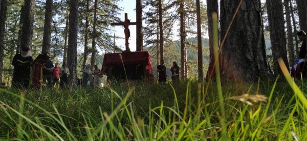 &Theta;&epsilon;ί&alpha; &Lambda;&epsilon;&iota;&tau;&omicron;&upsilon;&rho;&gamma;ί&alpha; &sigma;&tau;&eta; &Beta;ά&lambda;&iota;&alpha; &Kappa;ά&lambda;&nu;&tau;&alpha;, &mu;έ&sigma;&alpha; &sigma;&tau;&eta;&nu; &kappa;&alpha;&rho;&delta;&iota;ά &tau;&eta;&sigmaf; &phi;ύ&sigma;&eta;&sigmaf;.