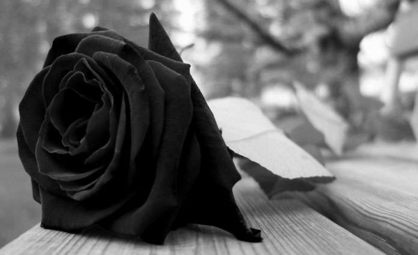 &Sigma;&upsilon;&lambda;&lambda;&eta;&pi;&tau;ή&rho;&iota;&omicron; &Mu;ή&nu;&upsilon;&mu;&alpha; &Sigma;&omega;&mu;&alpha;&tau;&epsilon;ί&omicron;&upsilon; &Epsilon;&rho;&gamma;&alpha;&zeta;&omicron;&mu;έ&nu;&omega;&nu; &Gamma;. &Nu; &Gamma;&rho;&epsilon;&beta;&epsilon;&nu;ώ&nu; "&Epsilon;&lambda;&iota;&mu;&epsilon;ί&alpha;"