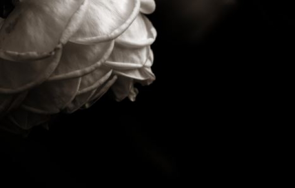 &Sigma;&upsilon;&lambda;&lambda;&upsilon;&pi;&eta;&tau;ή&rho;&iota;&omicron; &mu;ή&nu;&upsilon;&mu;&alpha; &Omicron;&delta;&omicron;&nu;&tau;&iota;&alpha;&tau;&rho;&iota;&kappa;&omicron;ύ &Sigma;&upsilon;&lambda;&lambda;ό&gamma;&omicron;&upsilon; &Gamma;&rho;&epsilon;&beta;&epsilon;&nu;ώ&nu;