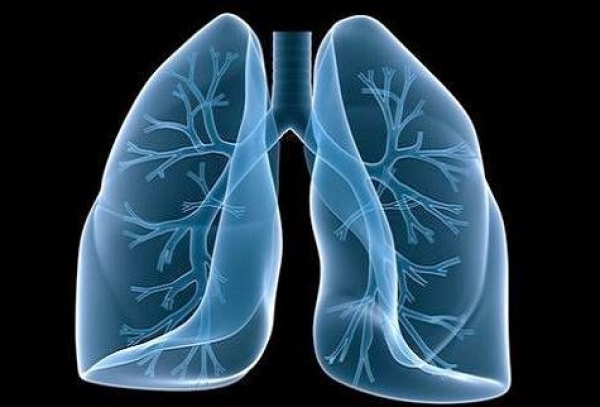 &Kappa;&alpha;&rho;&kappa;ί&nu;&omicron;&sigmaf; &tau;&omicron;&upsilon; &pi;&nu;&epsilon;ύ&mu;&omicron;&nu;&alpha;: Έ&nu;&alpha; &alpha;&pi;&lambda;ό &tau;&epsilon;&sigma;&tau; &mu;&epsilon; &tau;&alpha; &delta;ά&chi;&tau;&upsilon;&lambda;&alpha; &theta;&alpha; &mu;&pi;&omicron;&rho;&omicron;ύ&sigma;&epsilon; &nu;&alpha; &epsilon;&nu;&tau;&omicron;&pi;ί&sigma;&epsilon;&iota; &tau;&alpha; &sigma;&upsilon;&mu;&pi;&tau;ώ&mu;&alpha;&tau;&alpha;;