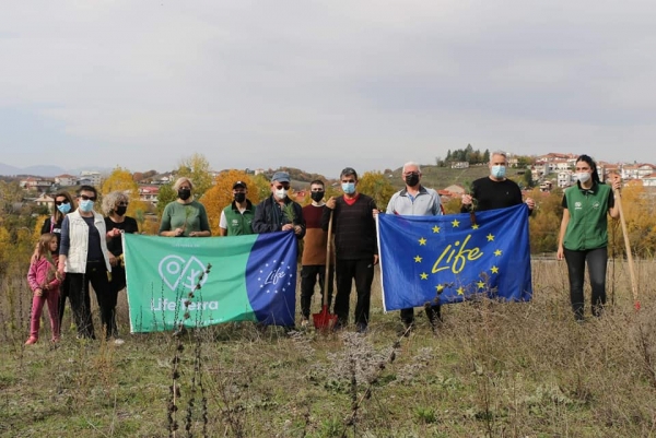 165 &delta;έ&nu;&delta;&rho;&alpha; &phi;&upsilon;&tau;&epsilon;ύ&tau;&eta;&kappa;&alpha;&nu; &alpha;&pi;ό &epsilon;&theta;&epsilon;&lambda;&omicron;&nu;&tau;έ&sigmaf;...