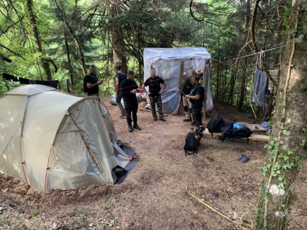 &Epsilon;&nu;&tau;ό&pi;&iota;&sigma;&alpha;&nu; &delta;ύ&omicron; &mu;&epsilon;&gamma;ά&lambda;&epsilon;&sigmaf; &phi;&upsilon;&tau;&epsilon;ί&epsilon;&sigmaf; &kappa;ά&nu;&nu;&alpha;&beta;&eta;&sigmaf; &mu;&epsilon; 1.249 &delta;&epsilon;&nu;&delta;&rho;ύ&lambda;&lambda;&iota;&alpha;