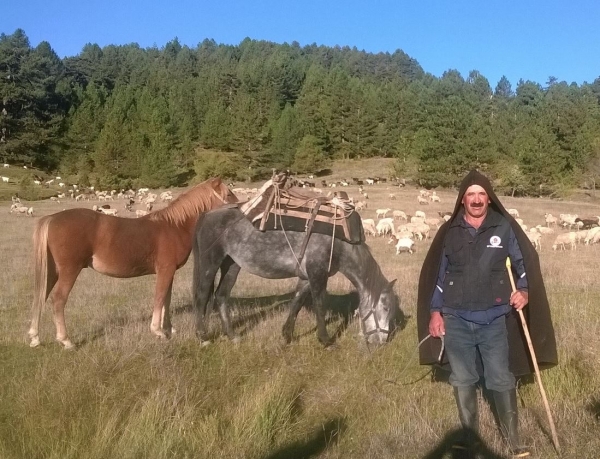 &Tau;&alpha; &delta;&iota;&alpha;&beta;&alpha;&tau;ά&rho;&iota;&kappa;&alpha; &tau;&omega;&nu; &Gamma;&rho;&epsilon;&beta;&epsilon;&nu;ώ&nu; -  (VIDEO)