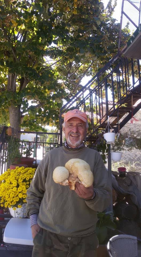 &Tau;&omicron; &phi;&alpha;&rho;&mu;&alpha;&kappa;&epsilon;&upsilon;&tau;&iota;&kappa;ό &mu;&alpha;&nu;&iota;&tau;ά&rho;&iota; &ldquo;&alpha;&rho;&nu;ά&kappa;&iota;&rdquo; &beta;&rho;ή&kappa;&epsilon; &omicron; &Theta;&epsilon;&omicron;&chi;&alpha;&rho;&eta;&sigmaf; &Delta;&eta;&mu;ή&tau;&rho;&iota;&omicron;&sigmaf; &sigma;&tau;&omicron; &Sigma;&iota;&sigma;ά&nu;&iota; &Beta;&omicron;ϊ&omicron;ύ (&Phi;&omega;&tau;&omicron;&gamma;&rho;&alpha;&phi;ί&epsilon;&sigmaf;)