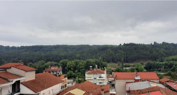 &Delta;&eta;&mu;&iota;&omicron;&upsilon;&rho;&gamma;ί&alpha; &Sigma;&upsilon;&lambda;&lambda;ό&gamma;&omicron;&upsilon; &Upsilon;&pi;&omicron;&sigma;&tau;ή&rho;&iota;&xi;&eta;&sigmaf; &tau;&omicron;&upsilon; &upsilon;&pi;&epsilon;&rho;&alpha;&sigma;&tau;&iota;&kappa;&omicron;ύ ά&lambda;&sigma;&omicron;&upsilon;&sigmaf; &laquo;Ά&lambda;&sigma;&omicron;&sigmaf; &Theta;&epsilon;&omicron;&delta;&omega;&rho;ί&delta;&eta;&raquo;