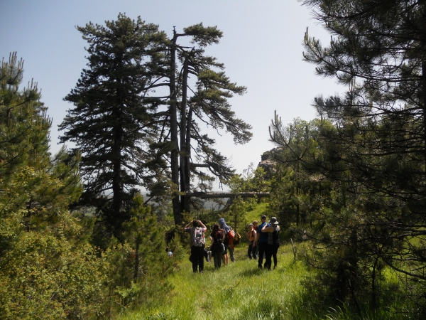 &Alpha;&pi;&alpha;&gamma;ό&rho;&epsilon;&upsilon;&sigma;&eta; &kappa;&upsilon;&kappa;&lambda;&omicron;&phi;&omicron;&rho;ί&alpha;&sigmaf;  &kappa;&alpha;&iota; &pi;&alpha;&rho;&alpha;&mu;&omicron;&nu;ή &epsilon;&kappa;&delta;&rho;&omicron;&mu;έ&omega;&nu; &sigma;&epsilon; ό&lambda;&epsilon;&sigmaf;  &tau;&iota;&sigmaf; &delta;&alpha;&sigma;&iota;&kappa;έ&sigmaf; &pi;&epsilon;&rho;&iota;&omicron;&chi;έ&sigmaf;  &kappa;&alpha;&iota; &tau;&alpha; &pi;&epsilon;&rho;&iota;&alpha;&sigma;&tau;&iota;&kappa;ά ά&lambda;&sigma;&eta;  &tau;&eta;&sigmaf;  &Pi;&epsilon;&rho;&iota;&phi;έ&rho;&epsilon;&iota;&alpha;&sigmaf; &Delta;&upsilon;&tau;&iota;&kappa;ή&sigmaf; &Mu;&alpha;&kappa;&epsilon;&delta;&omicron;&nu;ί&alpha;&sigmaf;