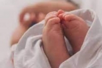 &Gamma;έ&nu;&nu;&eta;&sigma;&eta; &epsilon;&nu;ό&sigmaf; &upsilon;&gamma;&iota;έ&sigma;&tau;&alpha;&tau;&omicron;&upsilon; &alpha;&gamma;&omicron;&rho;&iota;&omicron;ύ &sigma;&tau;&omicron; &Gamma;.&Nu;. &Mu;&pi;&omicron;&delta;&omicron;&sigma;ά&kappa;&epsilon;&iota;&omicron;, &sigma;&tau;&eta;&nu; &Pi;&tau;&omicron;&lambda;&epsilon;&mu;&alpha;ί&delta;&alpha;, &alpha;&pi;ό &mu;&eta;&tau;έ&rho;&alpha; &theta;&epsilon;&tau;&iota;&kappa;ή &sigma;&tau;&omicron;&nu; &iota;ό Covid-19