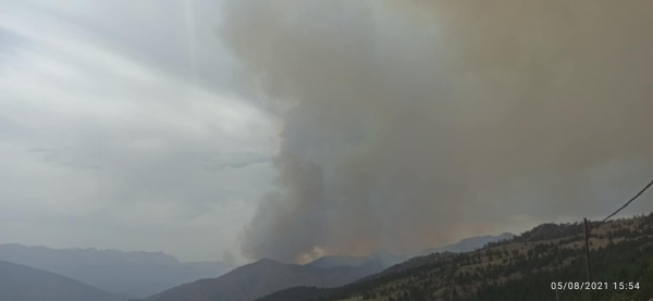 &Mu;&epsilon;&gamma;ά&lambda;&eta; &phi;&omega;&tau;&iota;ά, &kappa;&alpha;ί&epsilon;&iota; &pi;&upsilon;&kappa;&nu;ό &pi;&epsilon;&upsilon;&kappa;&omicron;&delta;ά&sigma;&omicron;&sigmaf; &sigma;&tau;&omicron;&nu; &Sigma;&mu;ό&lambda;&iota;&kappa;&alpha;