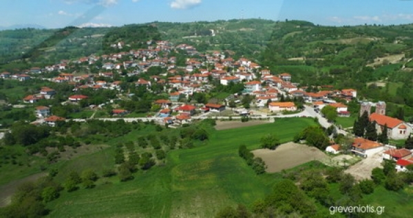 &Delta;&iota;&alpha;&mu;&alpha;&rho;&tau;&upsilon;&rho;ί&alpha; &tau;&omicron;&upsilon; &Pi;&omicron;&lambda;&iota;&tau;&iota;&sigma;&tau;&iota;&kappa;&omicron;ύ &Sigma;&upsilon;&lambda;&lambda;ό&gamma;&omicron;&upsilon; &Alpha;&mu;&upsilon;&gamma;&delta;&alpha;&lambda;&iota;ώ&nu; &gamma;&iota;&alpha; &tau;&alpha; &kappa;&alpha;&upsilon;&sigma;ό&xi;&upsilon;&lambda;&alpha;.