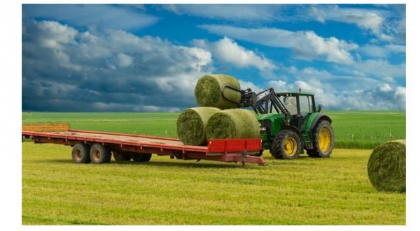 &Sigma;&chi;έ&delta;&iota;&alpha; &Beta;&epsilon;&lambda;&tau;ί&omega;&sigma;&eta;&sigmaf;: &Pi;&omicron;&iota;&omicron;&iota; &epsilon;&pi;&iota;&lambda;έ&gamma;&omicron;&nu;&tau;&alpha;&iota; &sigma;&epsilon; &Delta;&upsilon;&tau;&iota;&kappa;ή &Mu;&alpha;&kappa;&epsilon;&delta;&omicron;&nu;ί&alpha; (&Pi;ί&nu;&alpha;&kappa;&epsilon;&sigmaf;)