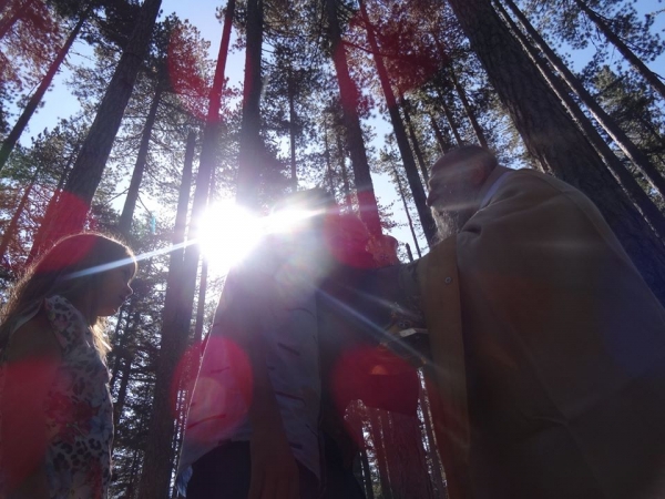 &Pi;&Rho;&Omicron;&Gamma;&Rho;&Alpha;&Mu;&Mu;&Alpha;  &Mu;&Eta;&Tau;&Rho;&Omicron;&Pi;&Omicron;&Lambda;&Iota;&Tau;&Omicron;&Upsilon; &Gamma;&Rho;&Epsilon;&Beta;&Epsilon;&Nu;&Omega;&Nu; &kappa;. &Delta;&Alpha;&Beta;&Iota;&Delta;