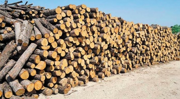 &Mu;&epsilon;&lambda;έ&tau;&eta; &kappa;&alpha;&iota; &delta;ά&sigma;&eta; &Delta;&epsilon;&sigma;&kappa;ά&tau;&eta;&sigmaf;