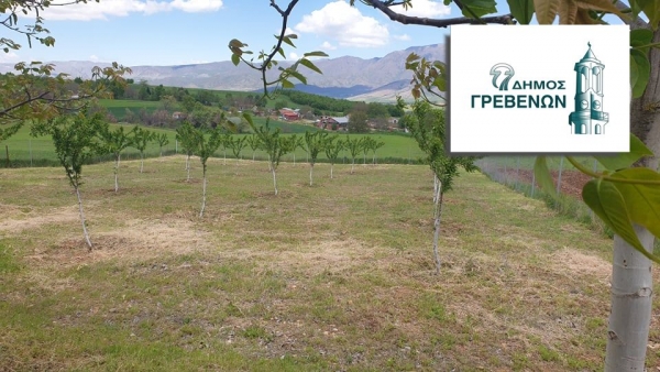 &Delta;ή&mu;&omicron;&sigmaf; &Gamma;&rho;&epsilon;&beta;&epsilon;&nu;ώ&nu;: Έ&omega;&sigmaf; &tau;&iota;&sigmaf; 19 &Mu;&alpha;ΐ&omicron;&upsilon; &eta; &upsilon;&pi;&omicron;&beta;&omicron;&lambda;ή &delta;&eta;&lambda;ώ&sigma;&epsilon;&omega;&nu; &sigma;&tau;&omicron;&upsilon;&sigmaf; &alpha;&nu;&tau;&alpha;&pi;&omicron;&kappa;&rho;&iota;&tau;έ&sigmaf; &tau;&omicron;&upsilon; &Epsilon;&Lambda;&Gamma;&Alpha; &gamma;&iota;&alpha; &zeta;&eta;&mu;&iota;έ&sigmaf; &sigma;&epsilon; &kappa;&epsilon;&rho;ά&sigma;&iota;&alpha; &kappa;&alpha;&iota; &alpha;&mu;ύ&gamma;&delta;&alpha;&lambda;&alpha; &alpha;&pi;ό &tau;&omicron;&nu; &pi;&alpha;&gamma;&epsilon;&tau;ό