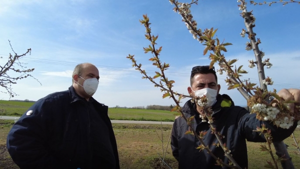 &Epsilon;&pi;&iota;&kappa;&omicron;&iota;&nu;&omega;&nu;ί&alpha; &tau;&omicron;&upsilon; &Alpha;&nu;&tau;&iota;&pi;&epsilon;&rho;&iota;&phi;&epsilon;&rho;&epsilon;&iota;ά&rho;&chi;&eta; &Gamma;. &Gamma;&iota;ά&tau;&sigma;&iota;&omicron;&upsilon; &mu;&epsilon; &tau;&omicron;&nu; &Pi;&rho;ό&epsilon;&delta;&rho;&omicron; &tau;&omicron;&upsilon; (&Epsilon;&Lambda;.&Gamma;.&Alpha;.), &gamma;&iota;&alpha; &tau;&iota;&sigmaf; &alpha;&pi;&omicron;&zeta;&eta;&mu;&iota;ώ&sigma;&epsilon;&iota;&sigmaf; &sigma;&tau;&omicron;&upsilon;&sigmaf; &pi;&lambda;&eta;&gamma;έ&nu;&tau;&epsilon;&sigmaf; &delta;&epsilon;&nu;&delta;&rho;&omicron;&kappa;&alpha;&lambda;&lambda;&iota;&epsilon;&rho;&gamma;&eta;&tau;έ&sigmaf; &tau;&omega;&nu; &Gamma;&rho;&epsilon;&beta;&epsilon;&nu;ώ&nu;.